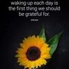 brandie_woodard
